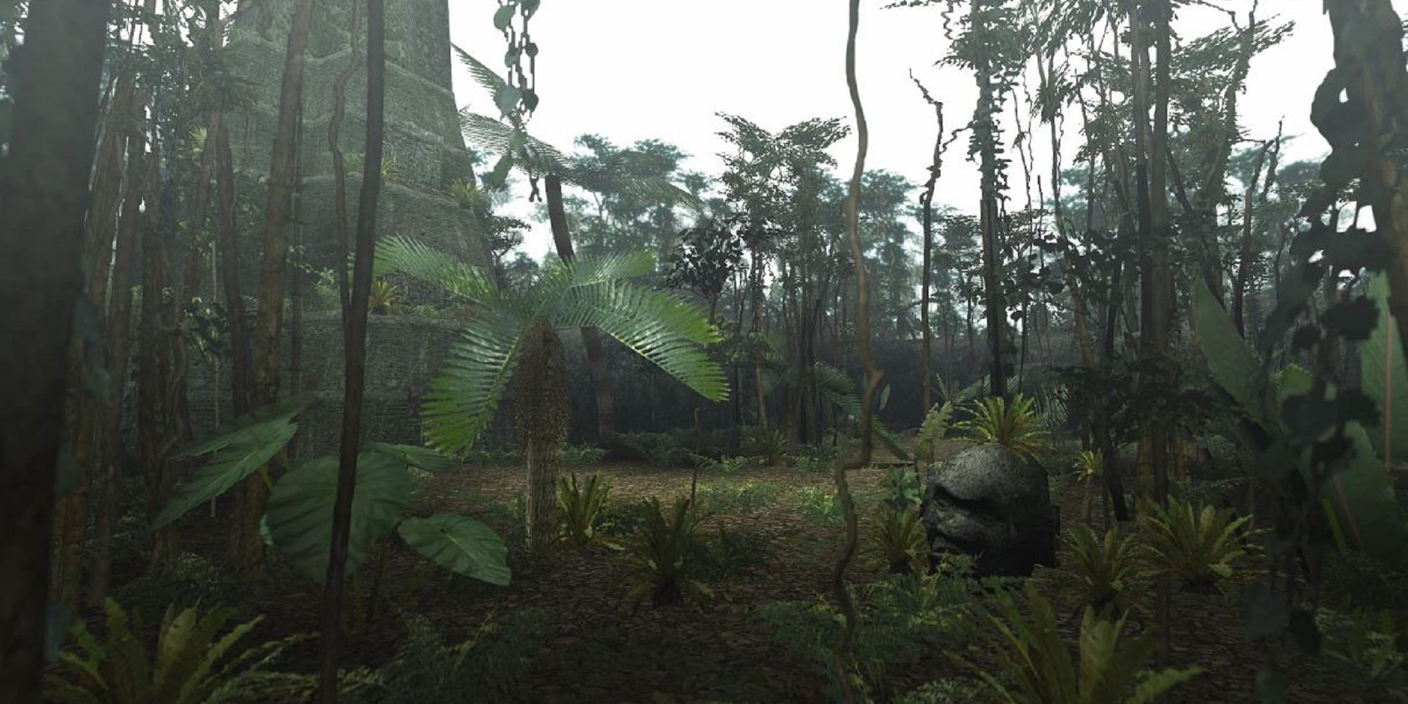 Old Jungle Ruins And Trees