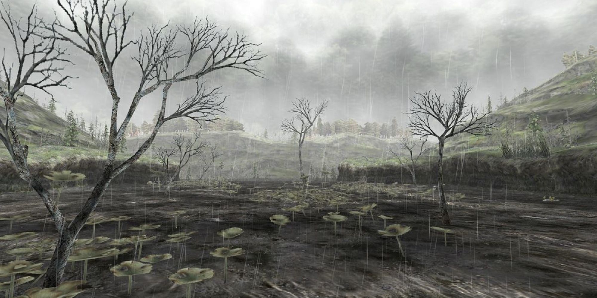Old Swamp Raining