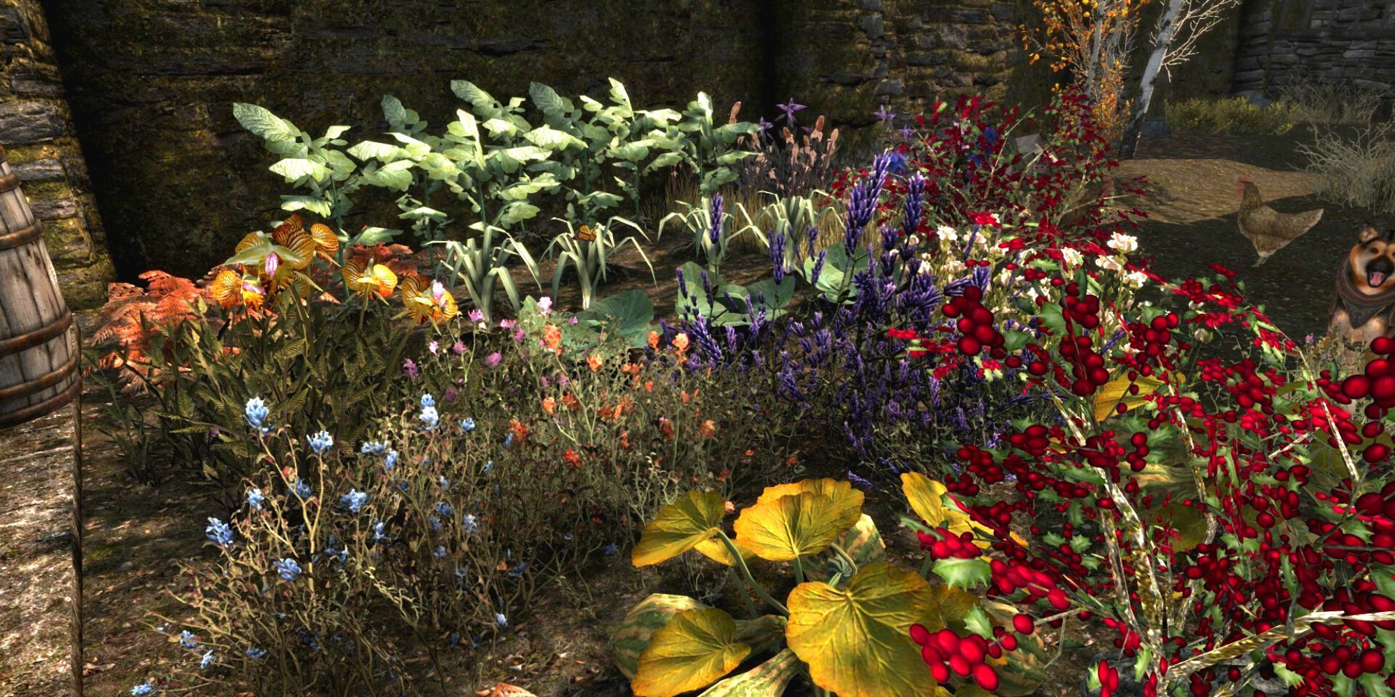 Garden full of herbs, flowers, and cabbage in Riften