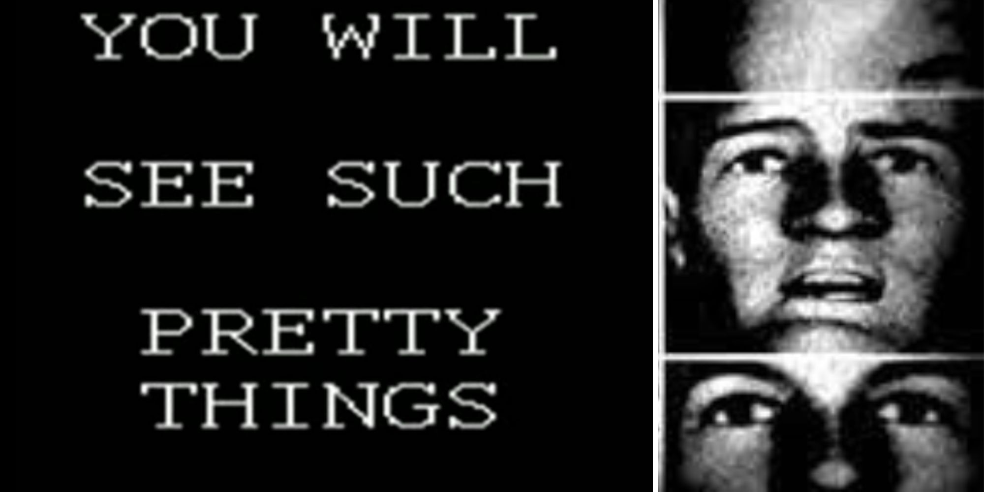 Faces From The Wyoming Incident, Text That Says "You will see such pretty things"