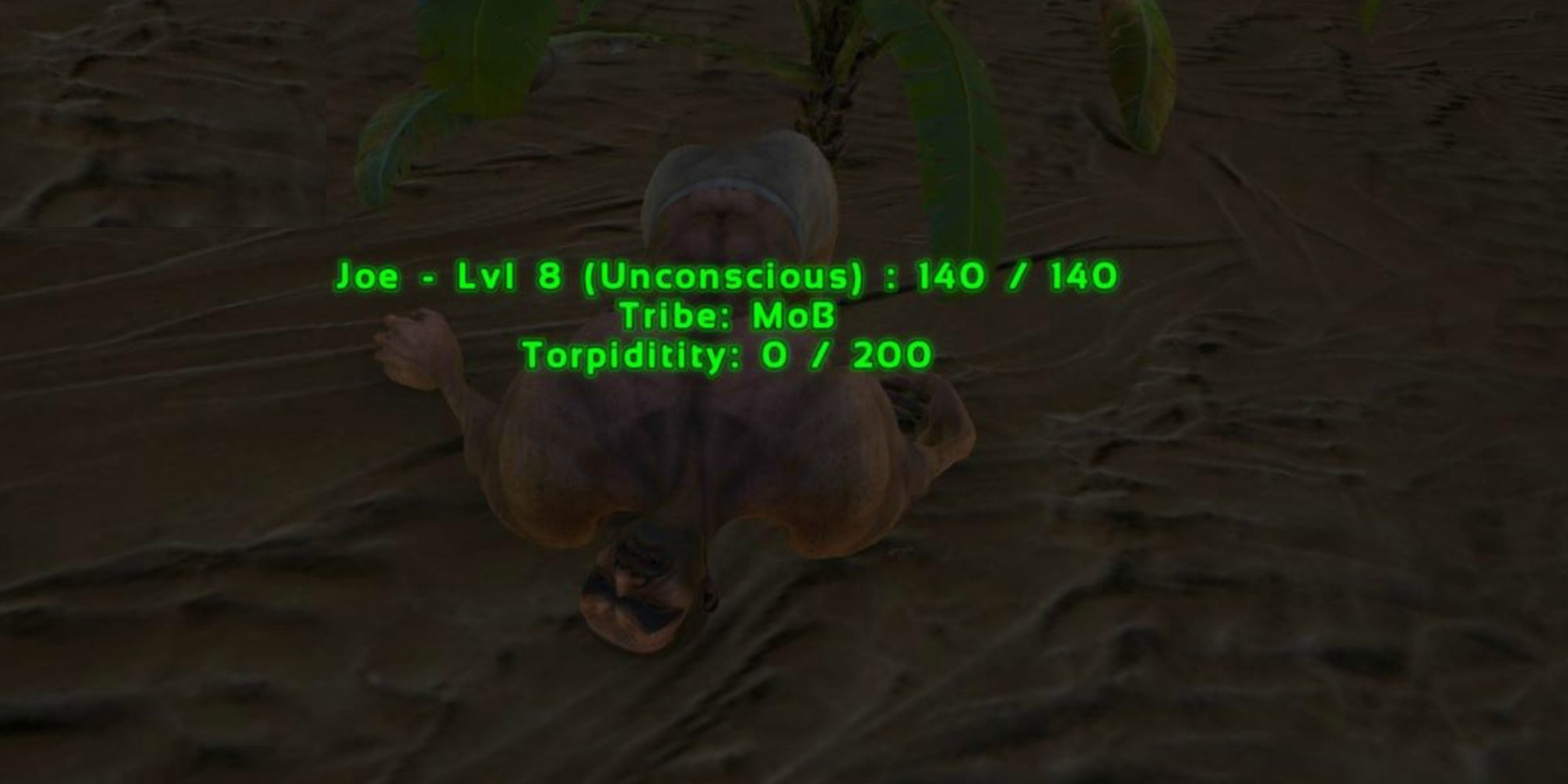 Torpedity