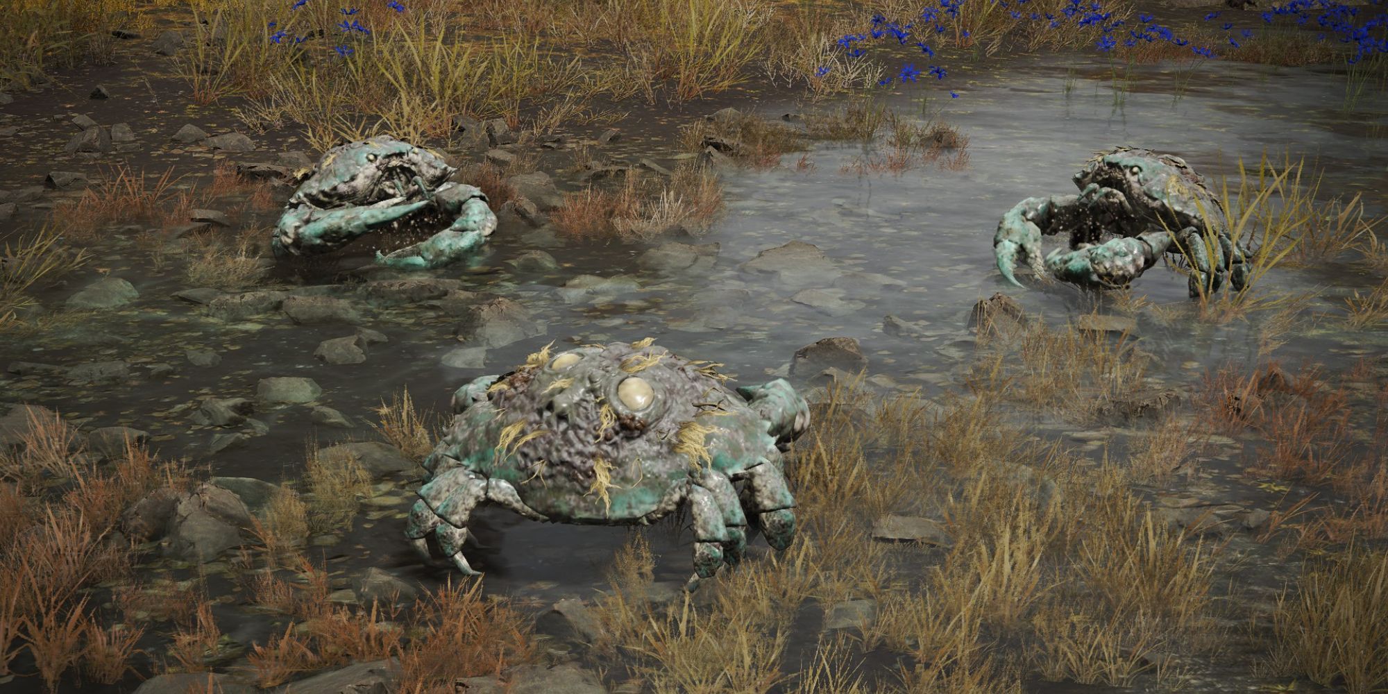 Godwyn The Death Prince's face appearing on the backs of crabs in Leyndell's moat.