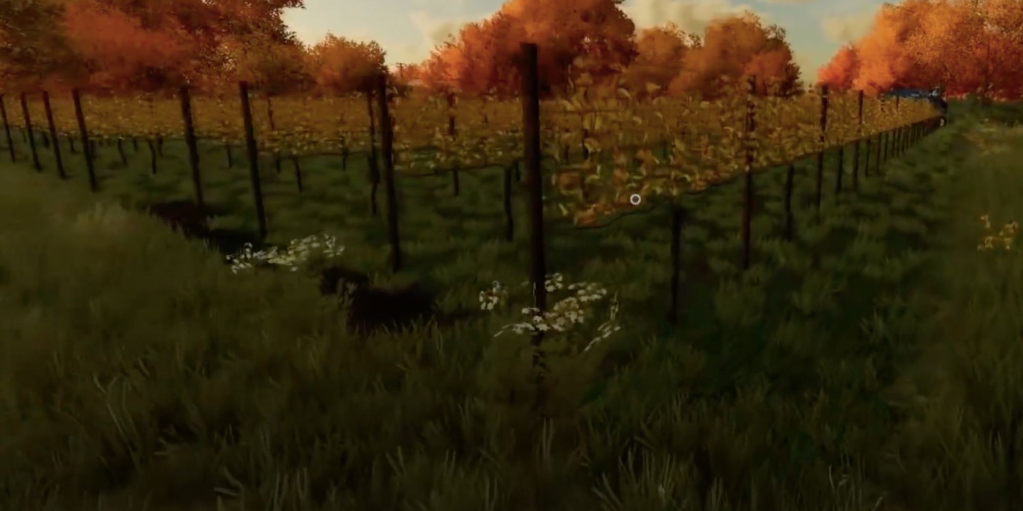 grape crops in farming simulator 22