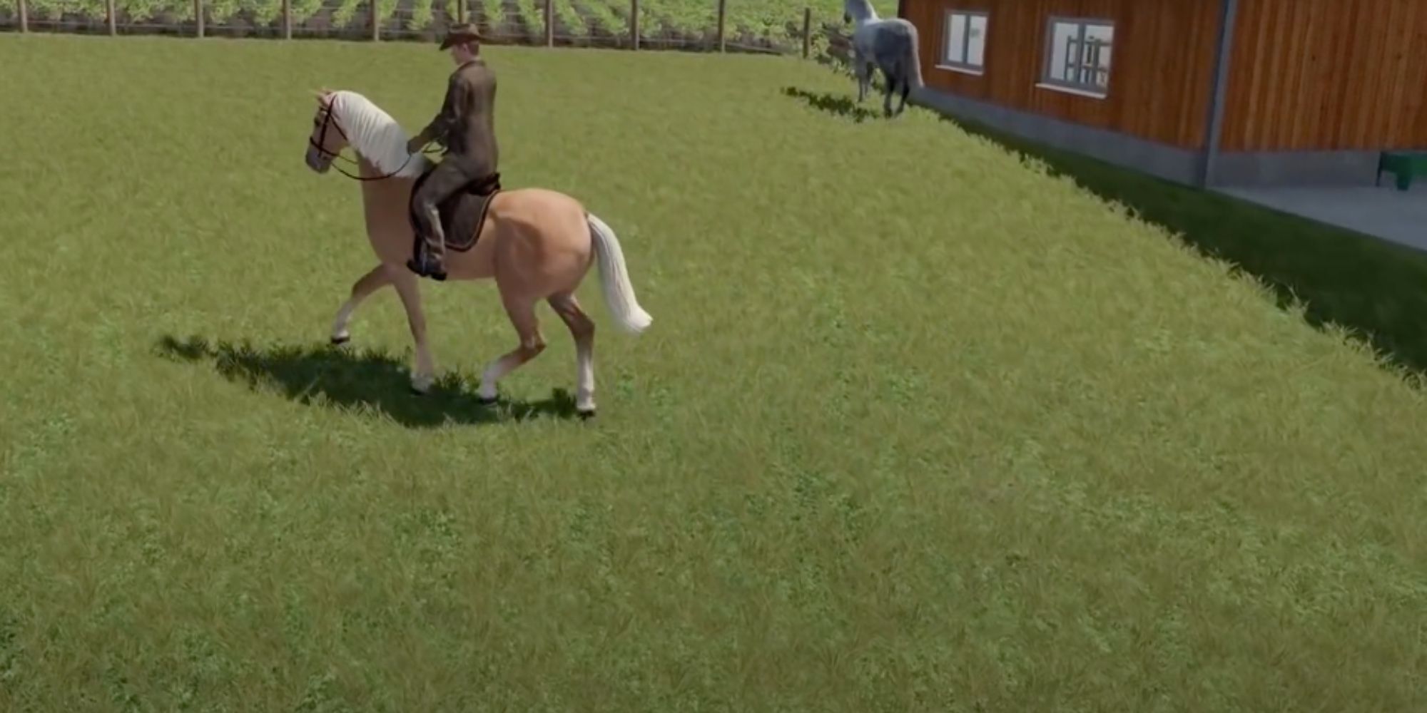 riding a palomino in farming simulator 22