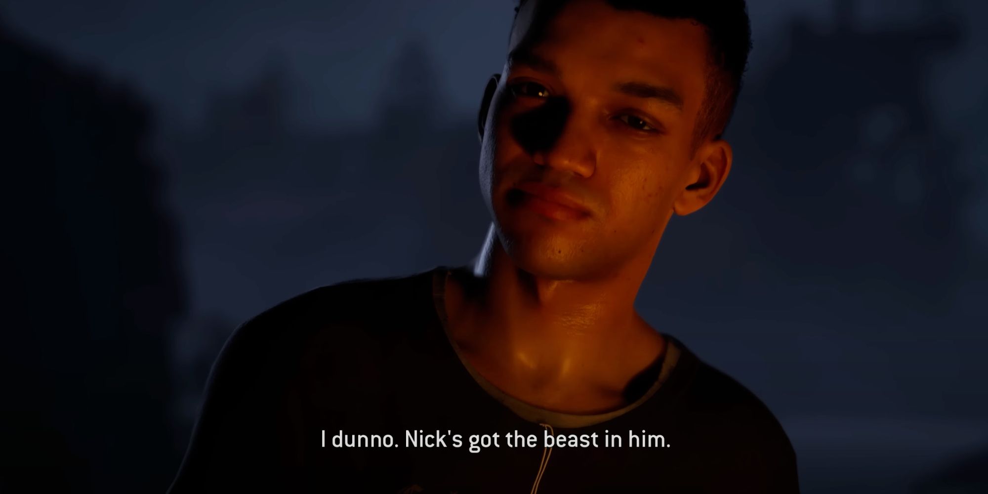 ryan describing nick in the quarry