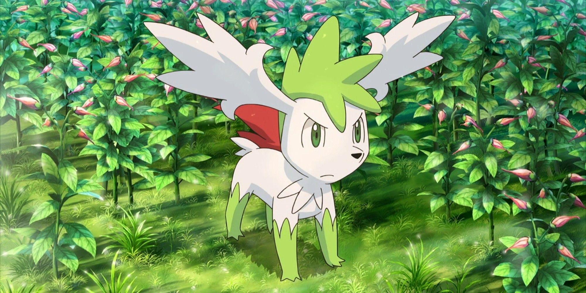 shaymin sky-forme in a garden of flowers
