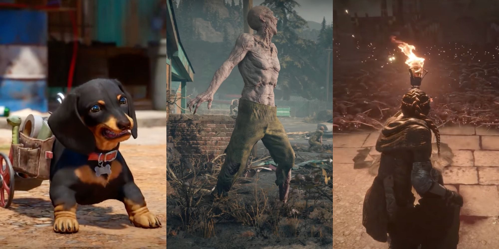 chorizo in far cry 6 freaker in days gone rats in a plague tale