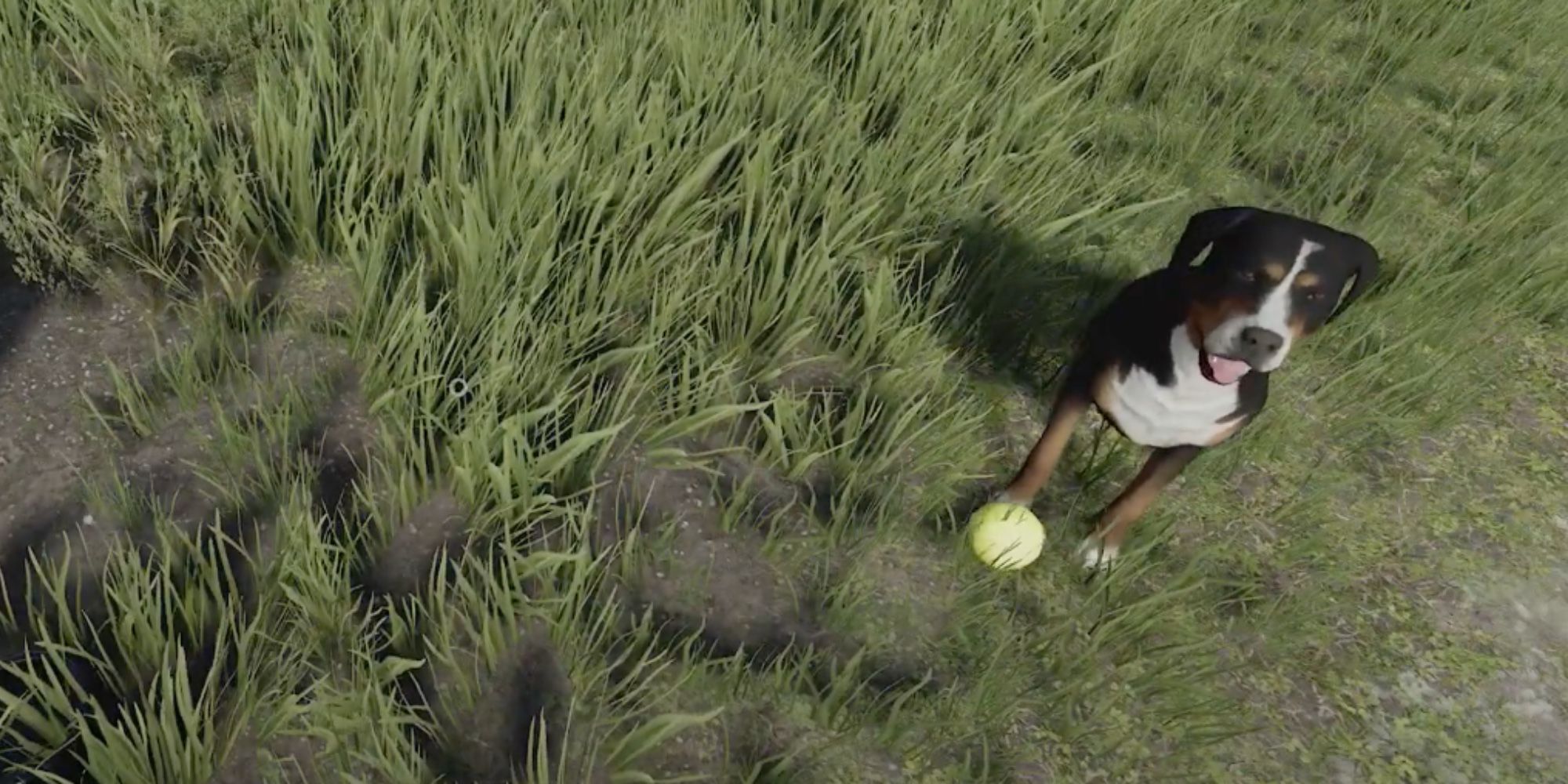 the dog from farming simulator 22