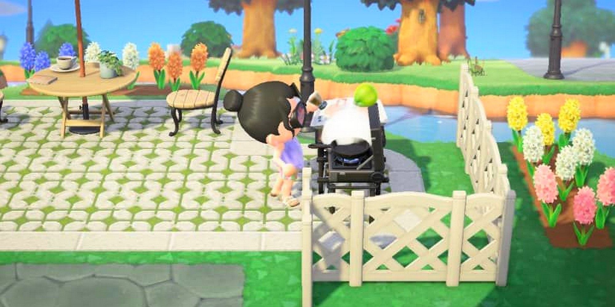 Animal Crossing New Horizons Cooking Patio Flowers