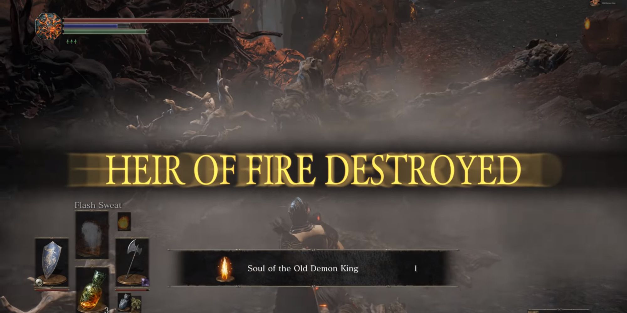 The player getting the rewards after defeating the boss.