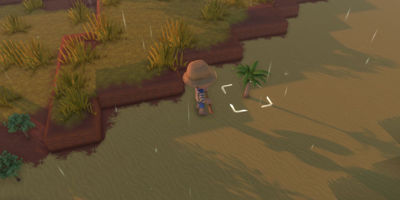 Dinkum Planted Tree
