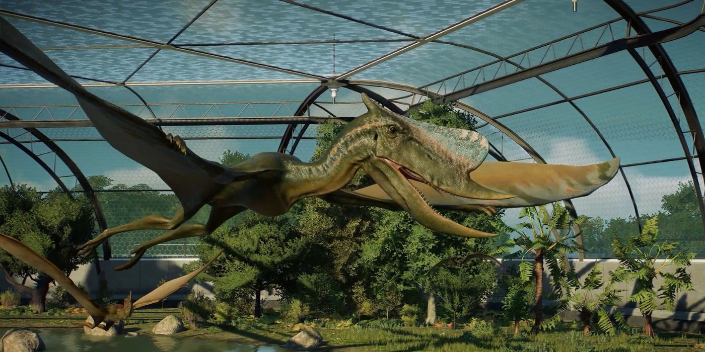 A Dsungaripterus flying with its mouth open in the aviary