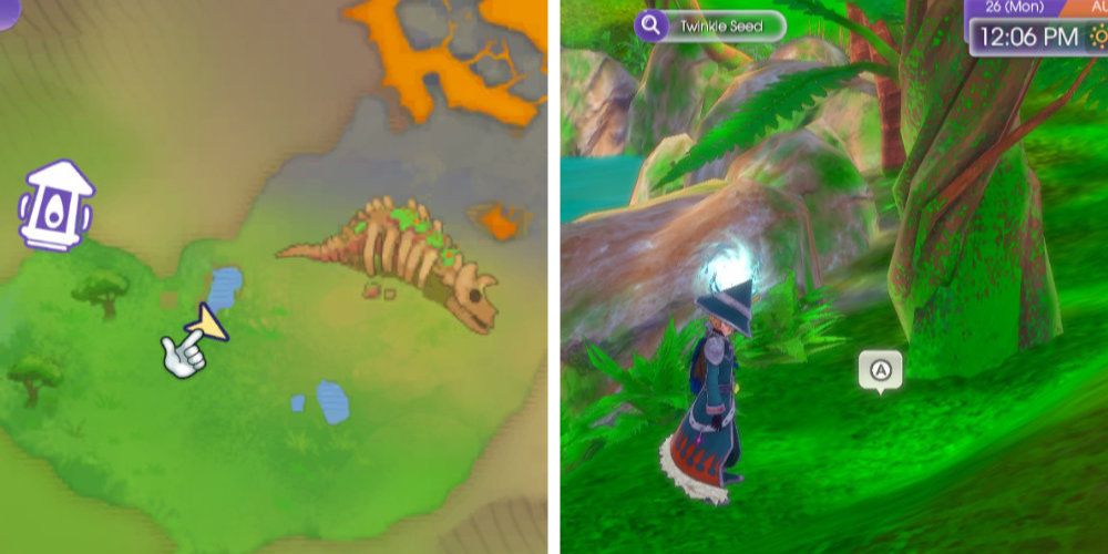 Split image of a map and a large, spiraling tree