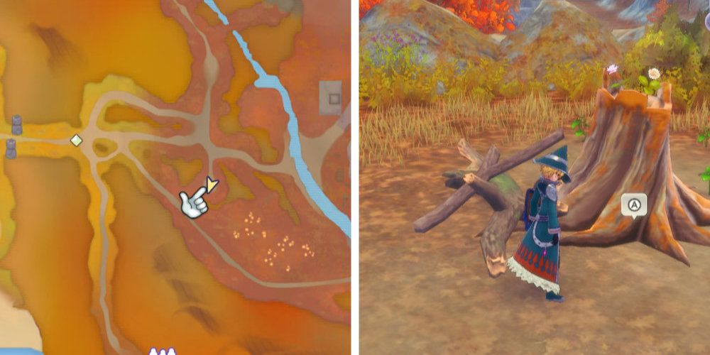 Split image of a map and a character near a large tree trunk
