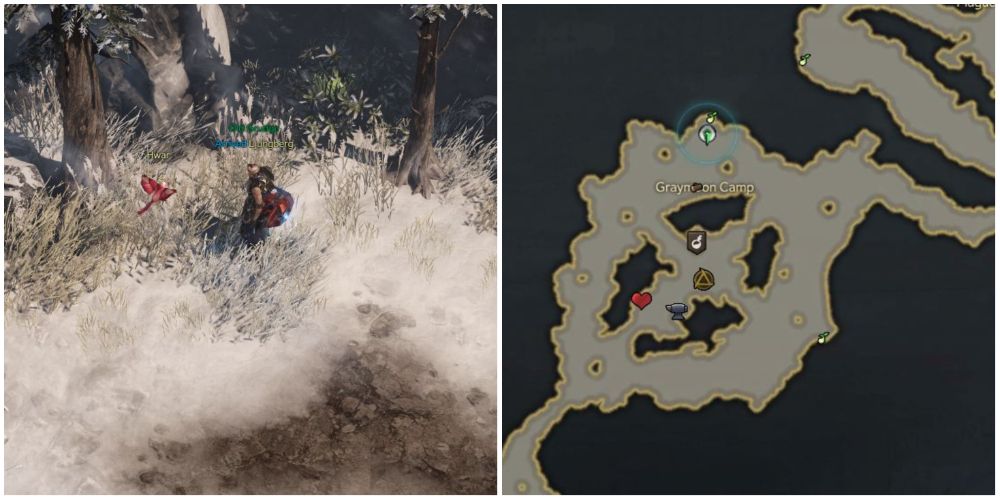 Lost Ark 2nd mokoko seed location in Iceblood Plateau