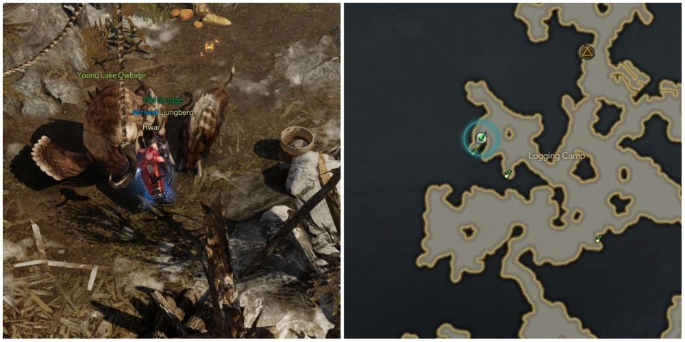 Lost Ark Shushire giant frostmain boar monster location