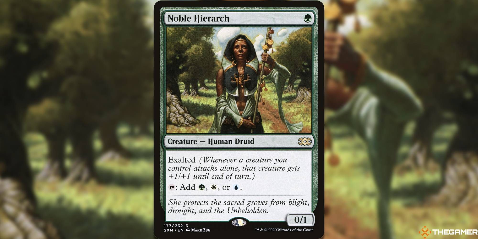 Noble Hierarch