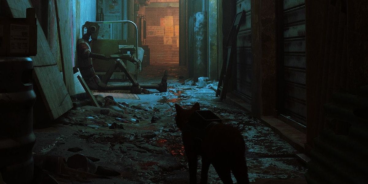 Cat Looking At Robot