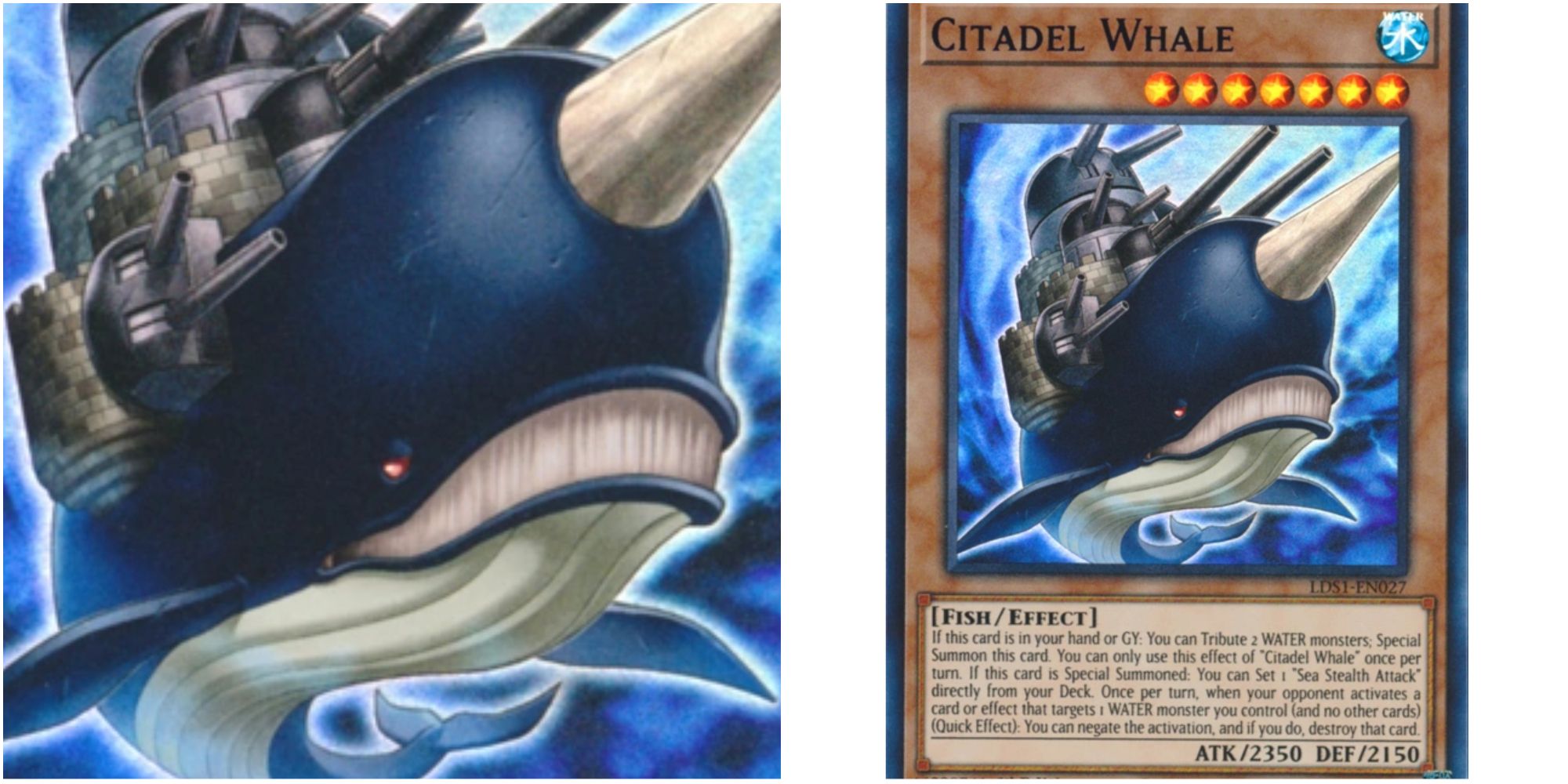citadel whale