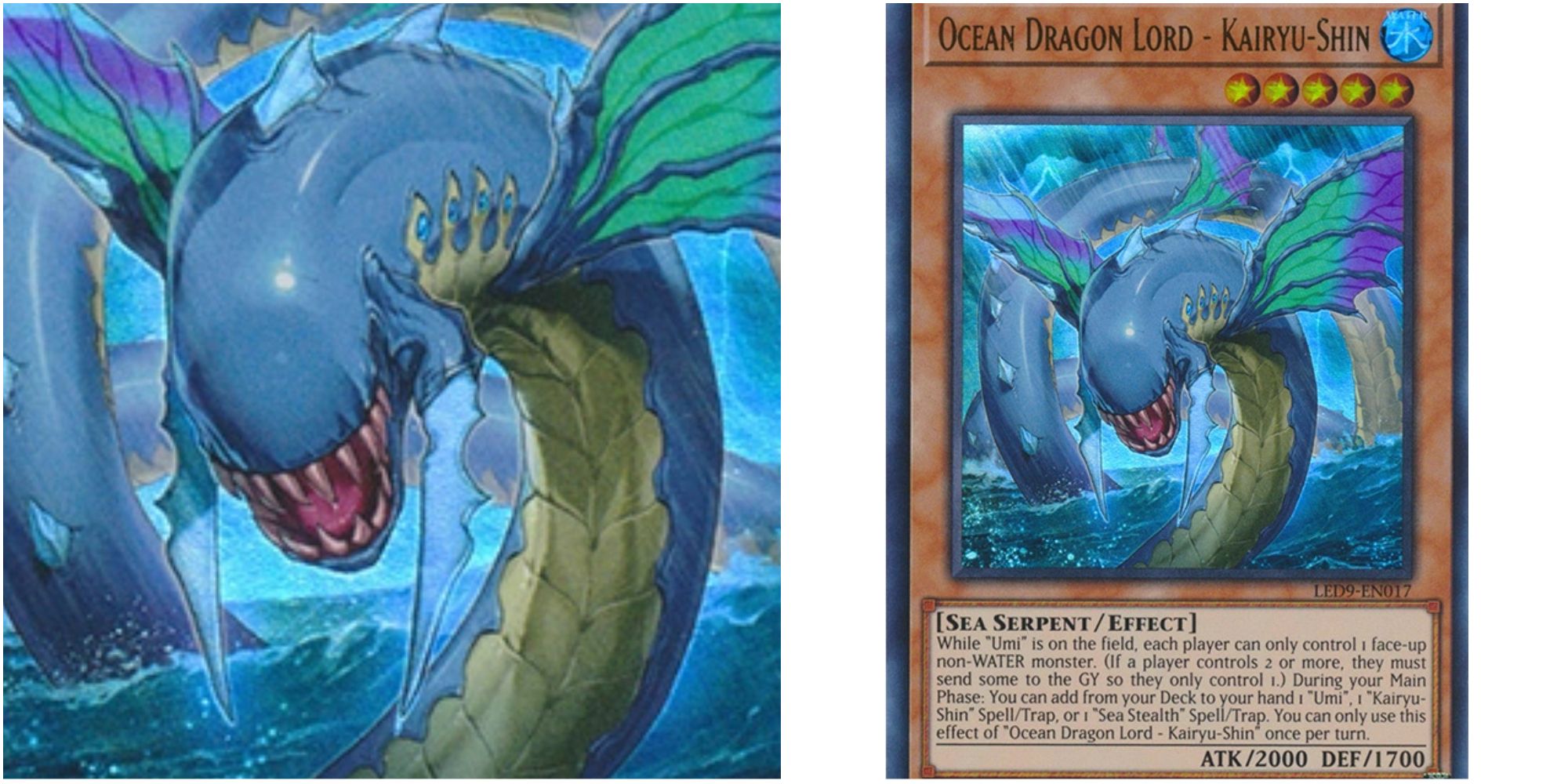 ocean dragon lord kai ryushin