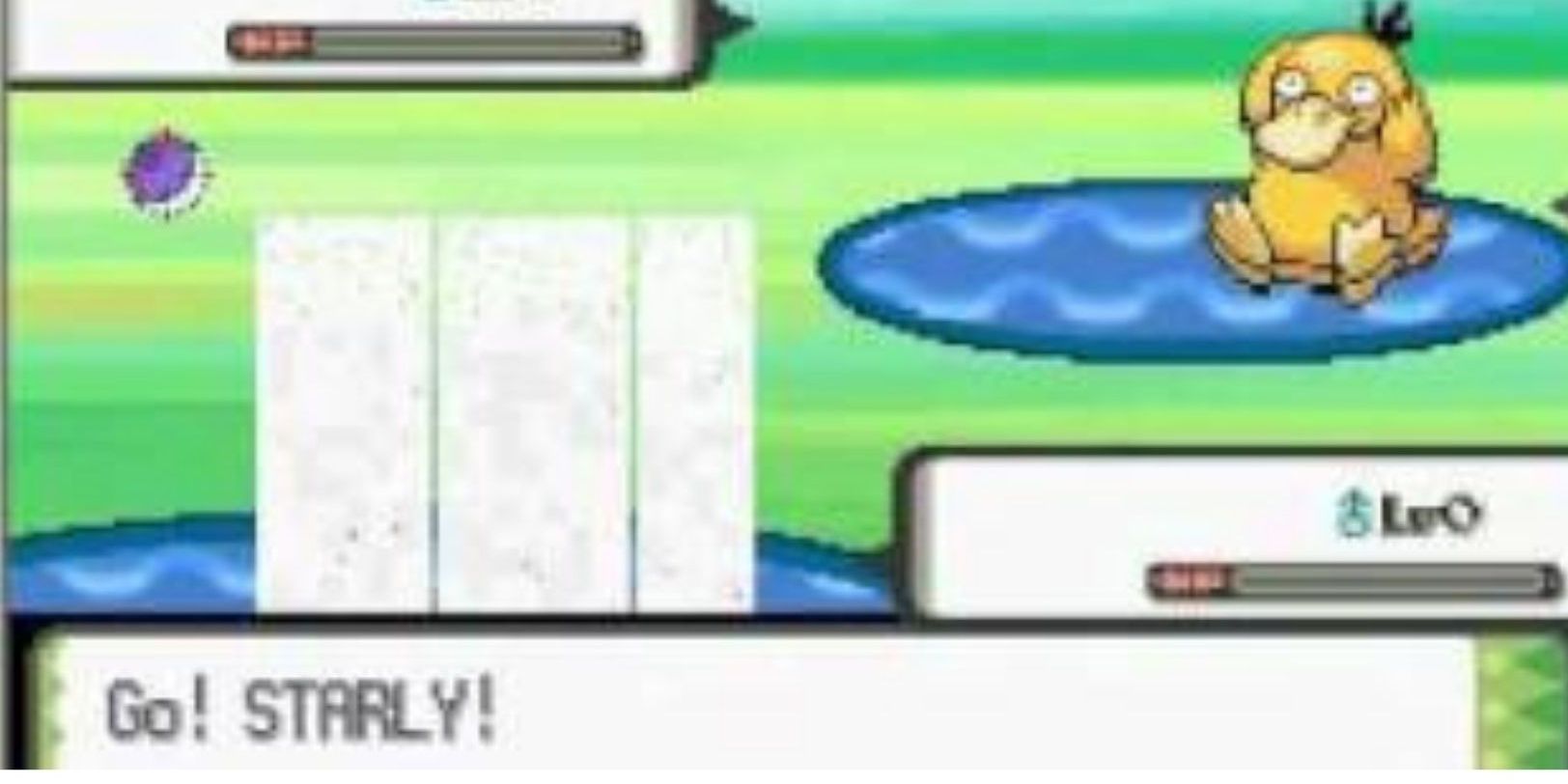 pokemon dpbox double battle with starly and psyduck