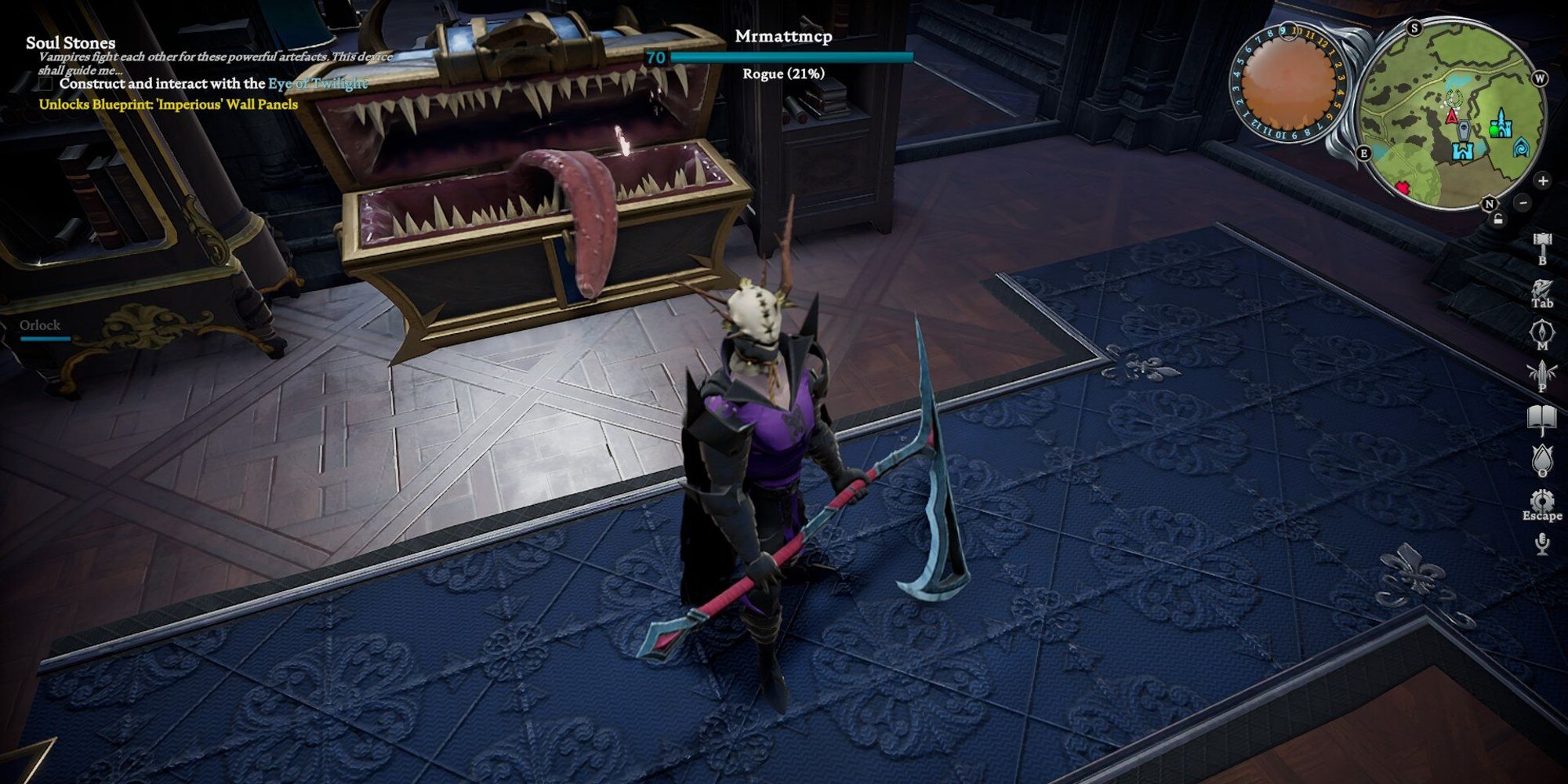 player wearing dawnthorn armor