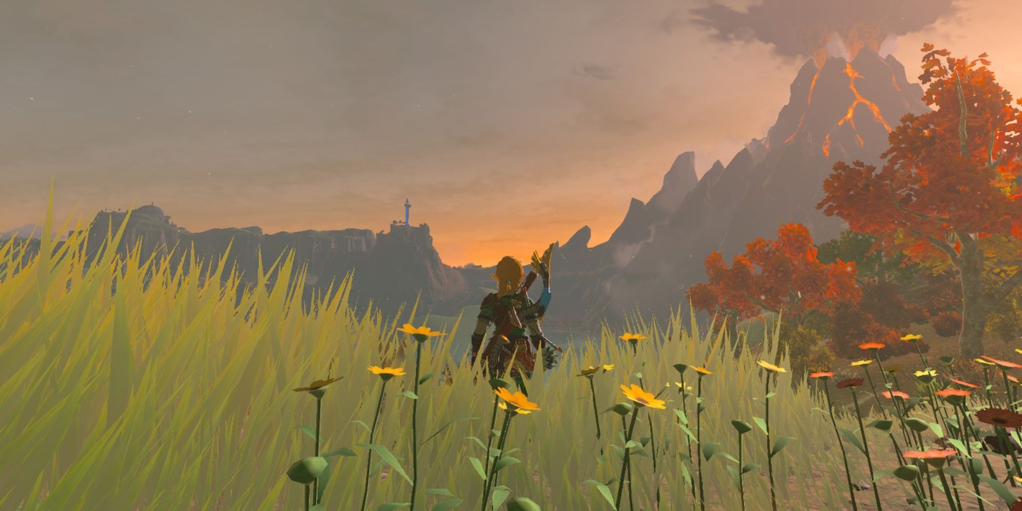 Link looking out at a field of green hills with red and yellow trees and a volcano in the back.