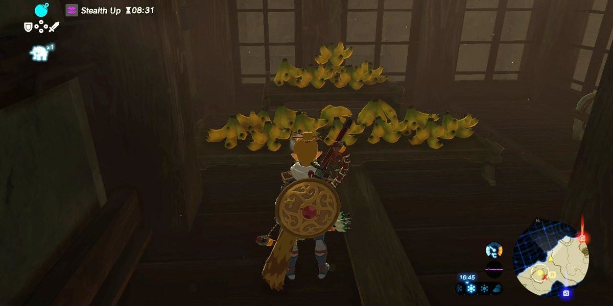 BOTW Link In Yiga Hideout Banana Storage