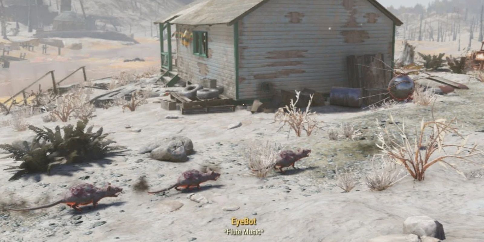 Fallout Random Encounters Eyebot plays the flute and leads a group of molerats.