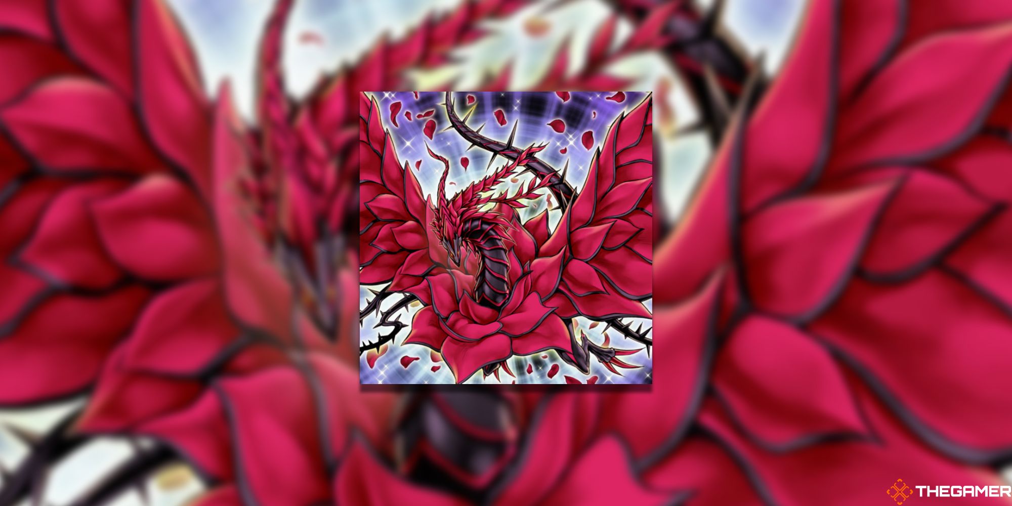 black rose dragon