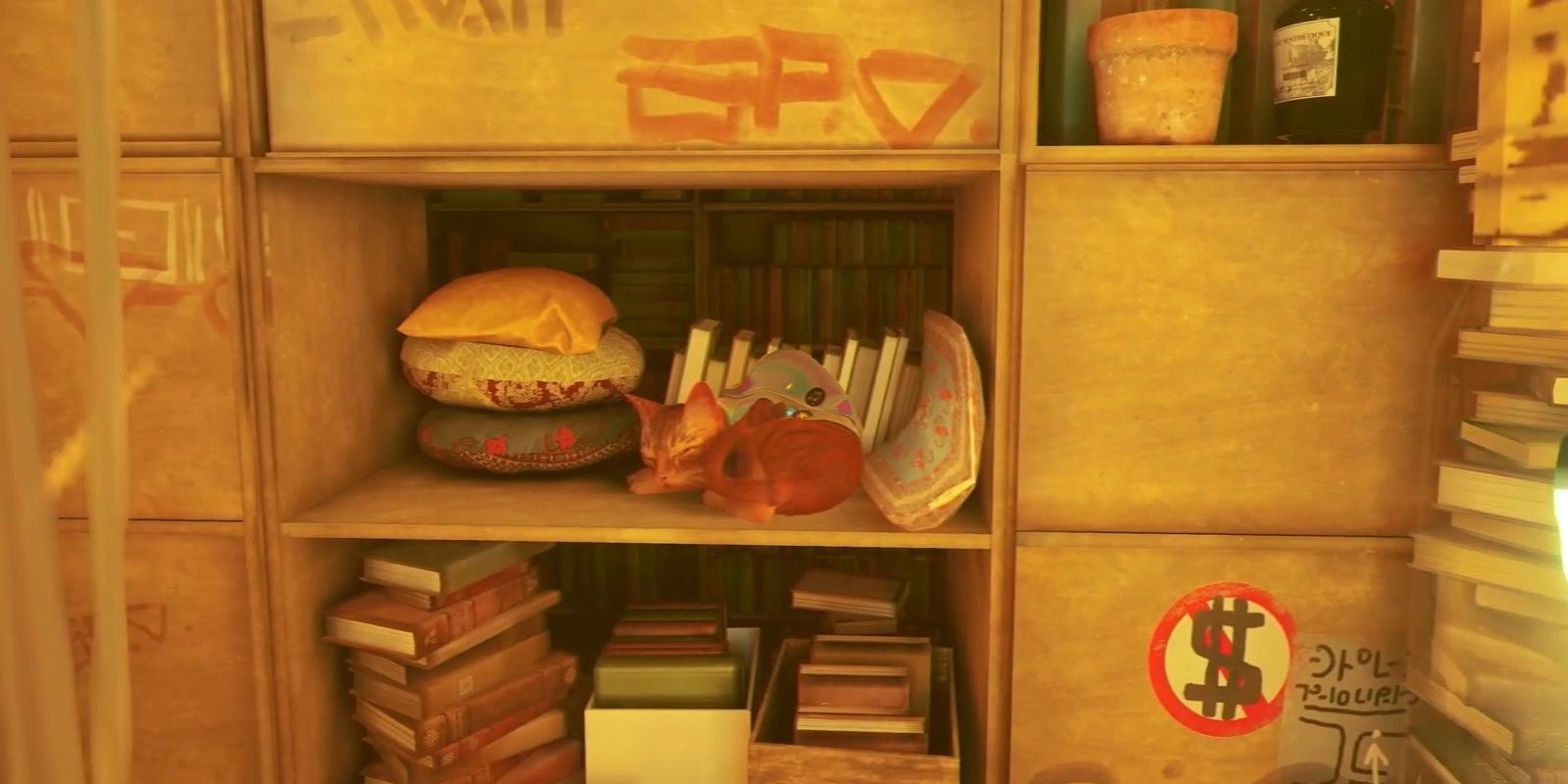 Stray Cat Napping In Doc's Library Shelf