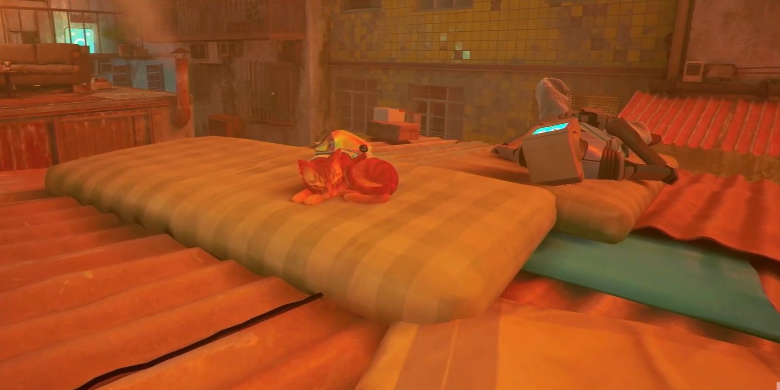 Stray Cat Sleeping On The Roof Beside A Napping Robot