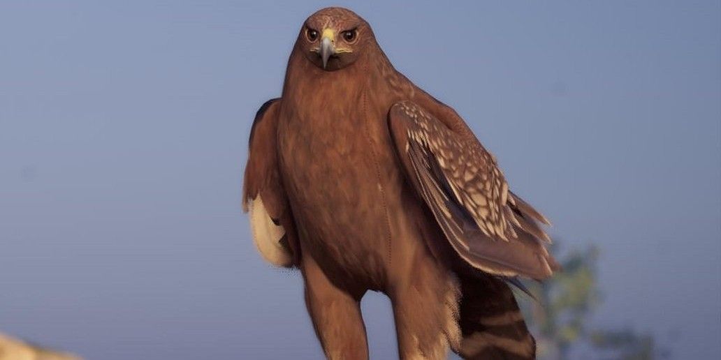 Assassins Creed Odyssey screenshot of the eagle Ikaros