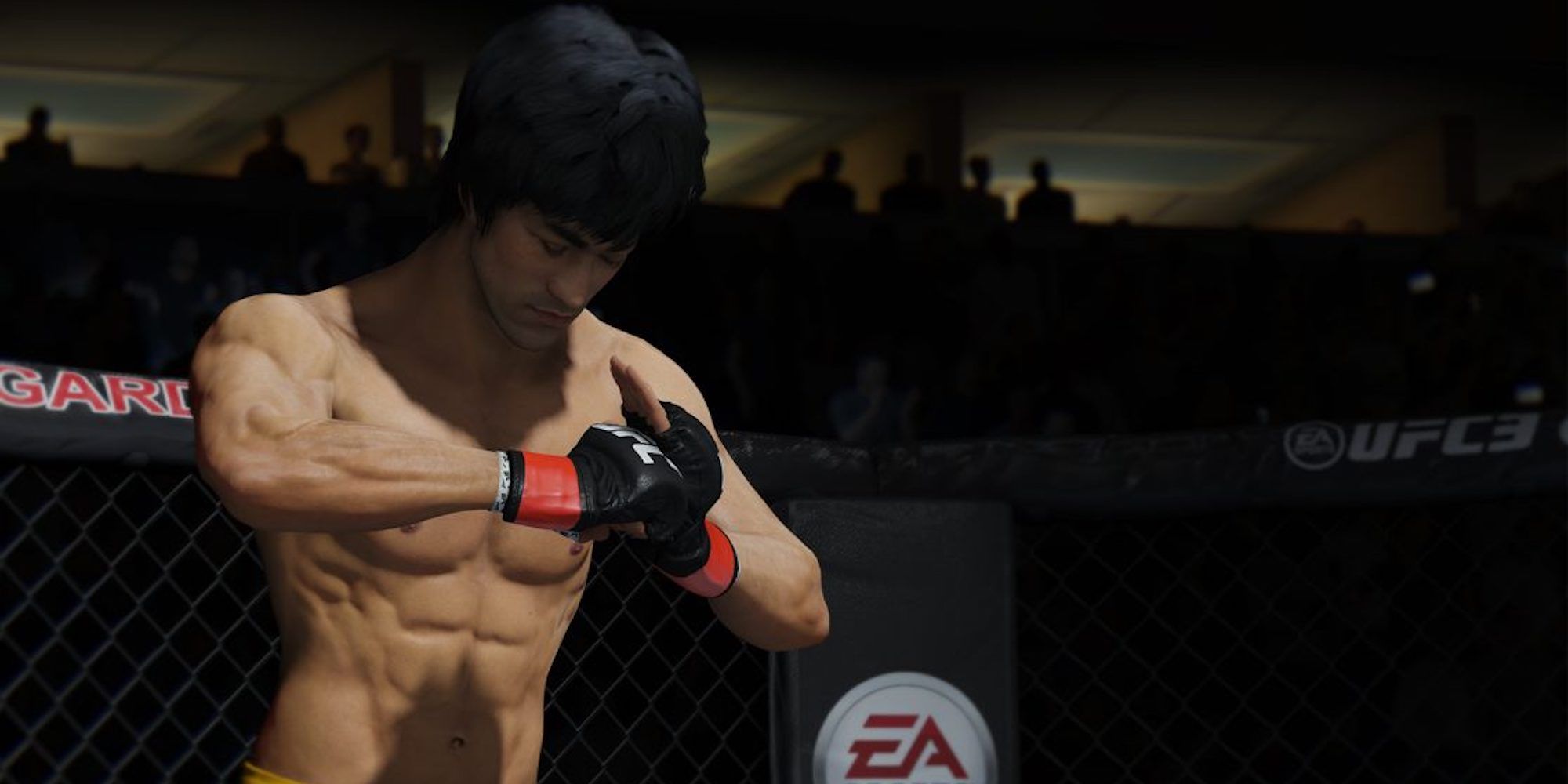 Bruce Lee UFC