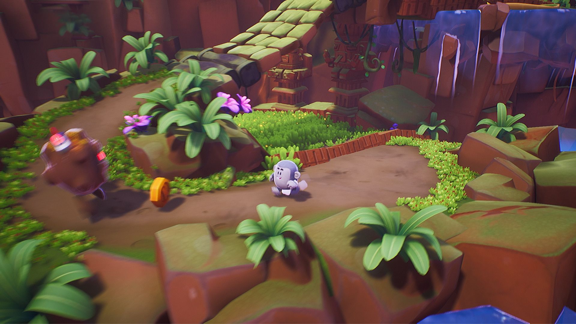 Kukoos Lost Pets