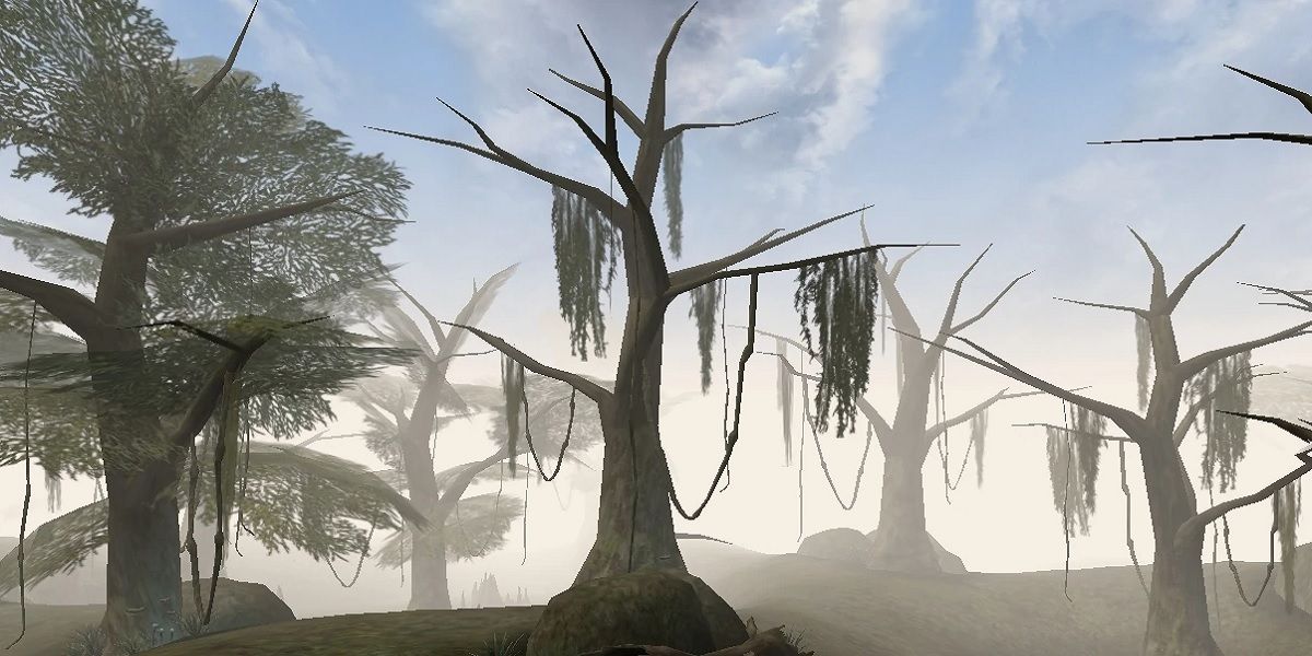 Morrowind Bitter Coast