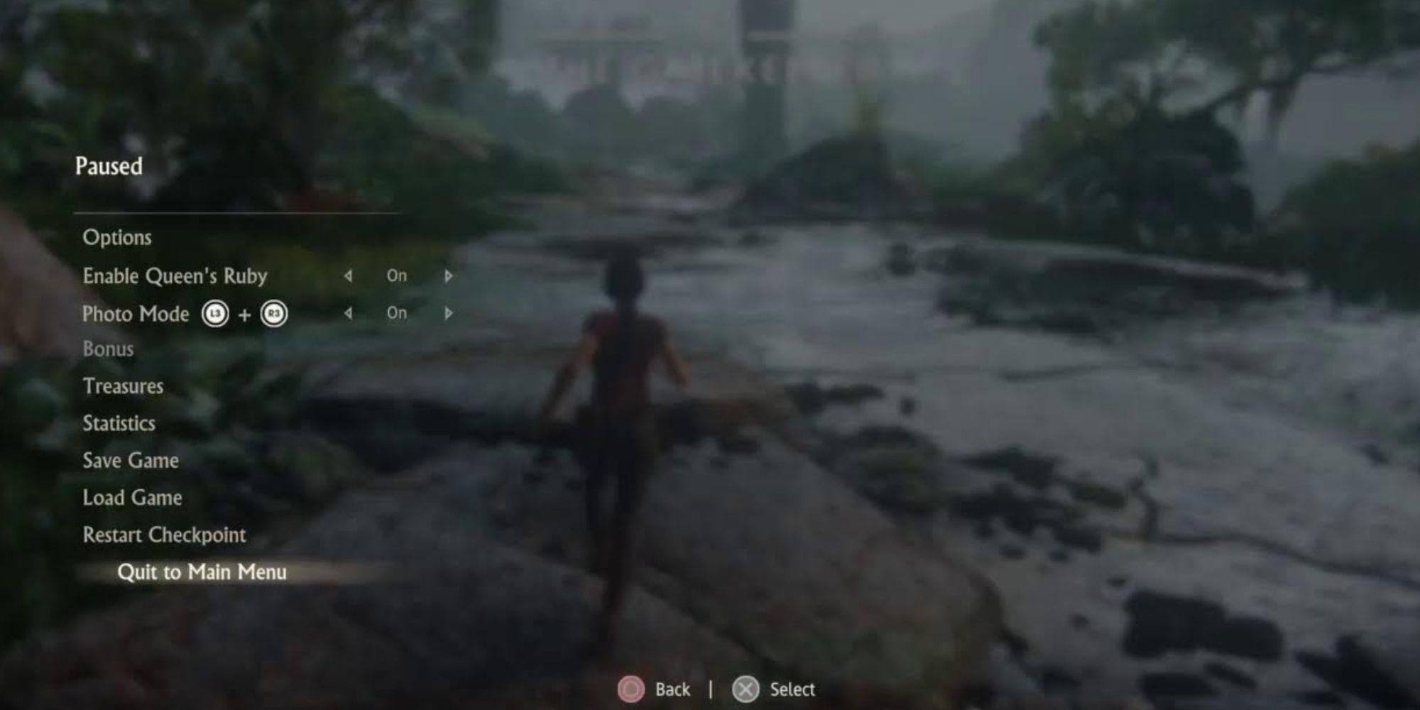Pause Screen in Uncharted Lost Legacy