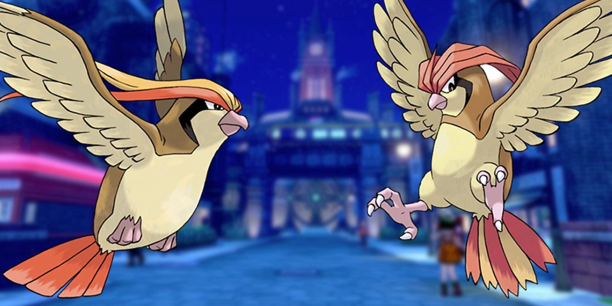 Pidgeot and Pidgeotto Pokemon standing together
