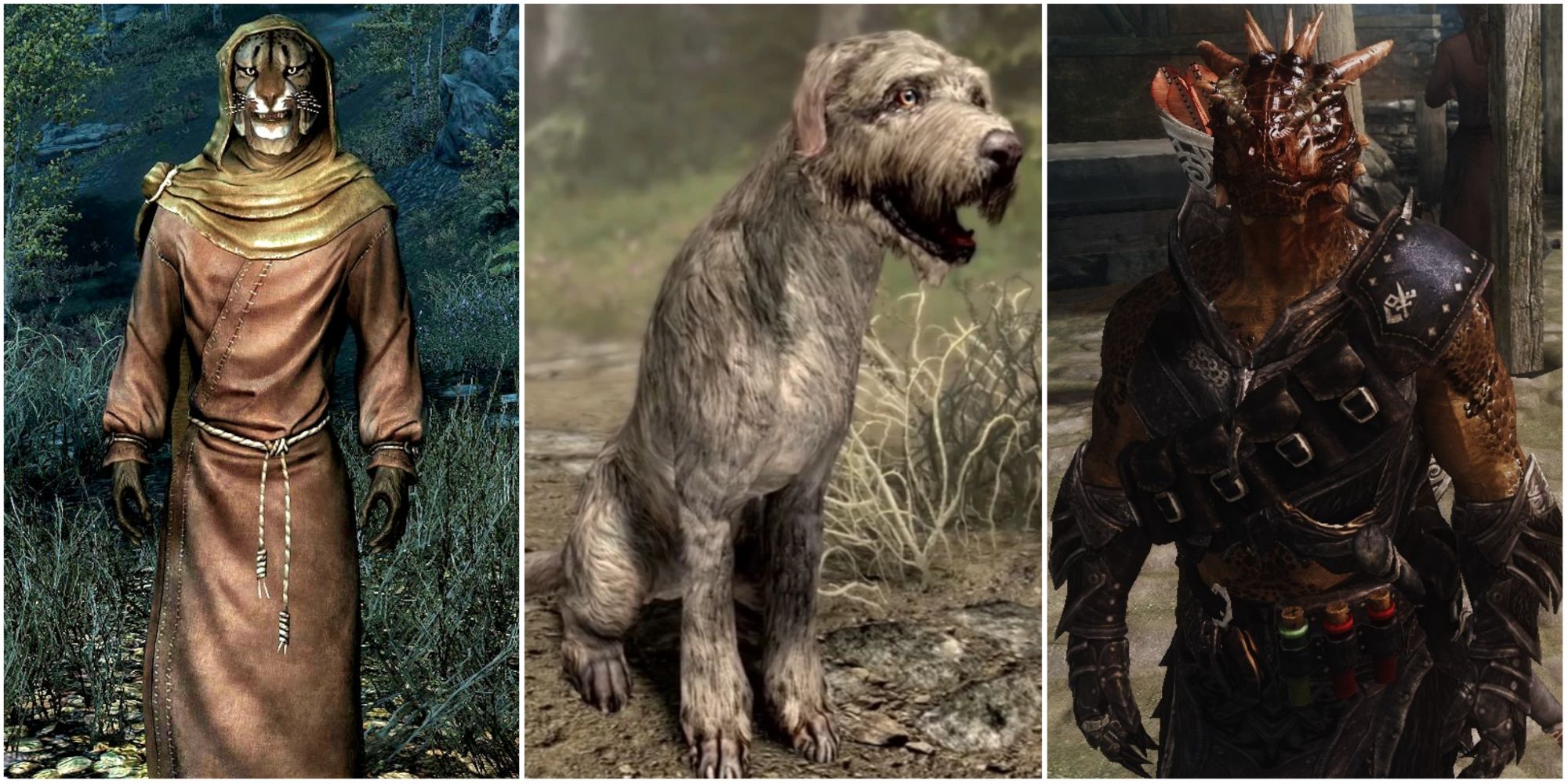 Collage of animals in Skyrim including a Khajiit, and Argonian and Barbas the dog