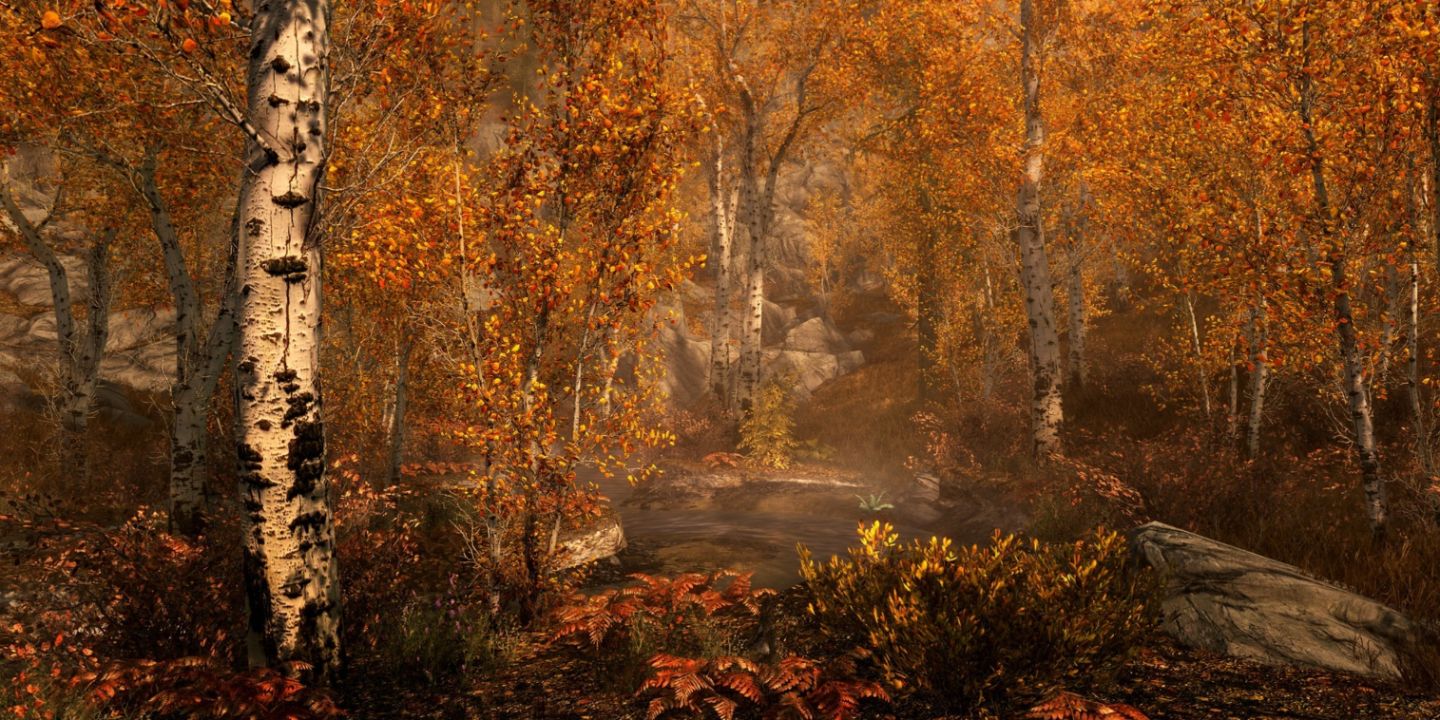 The Rift Woodlands in Skyrim