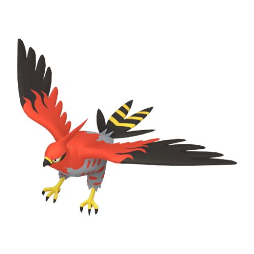 Talonflame from Pokemon