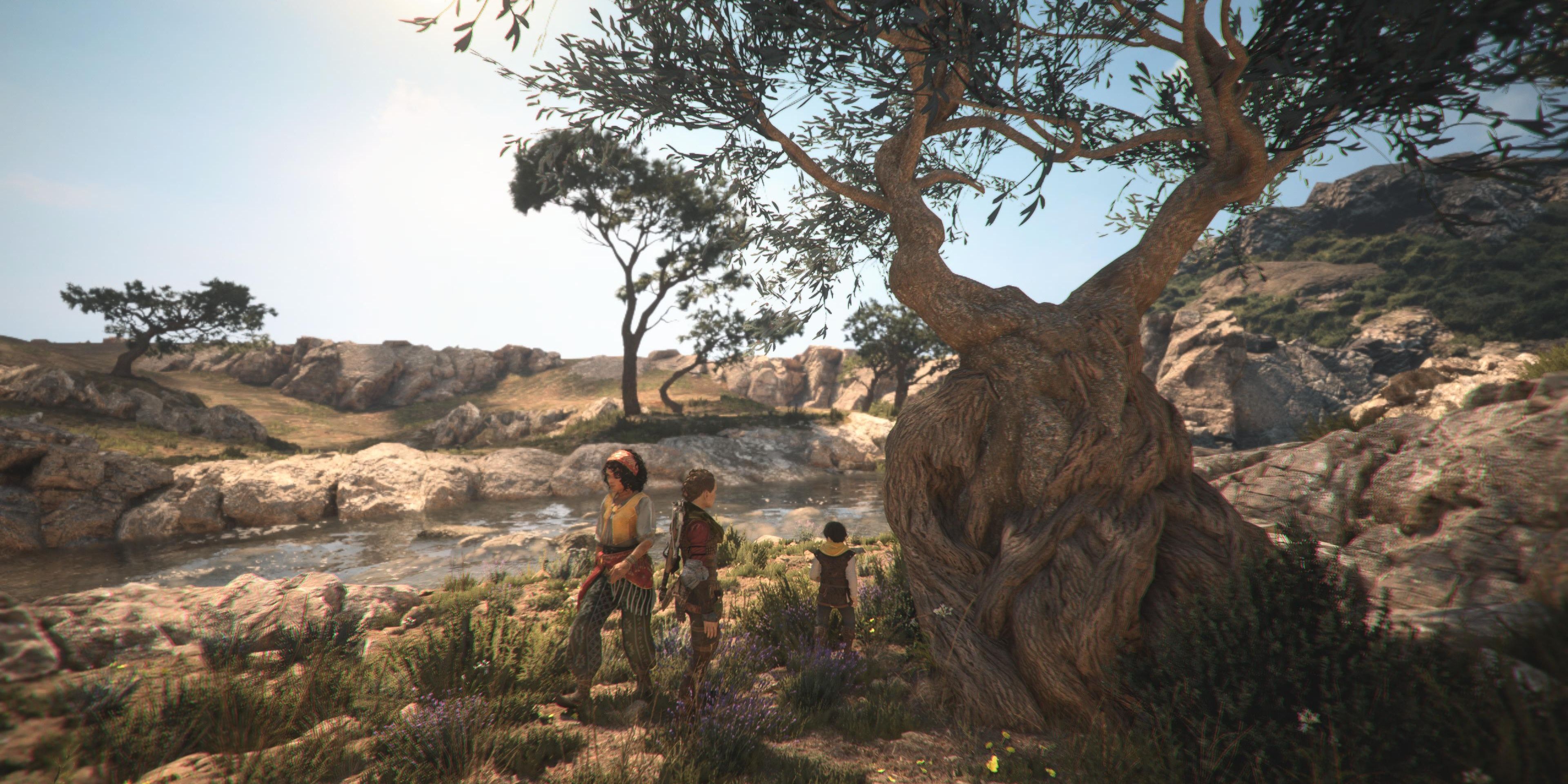 finding the old tree souvenir