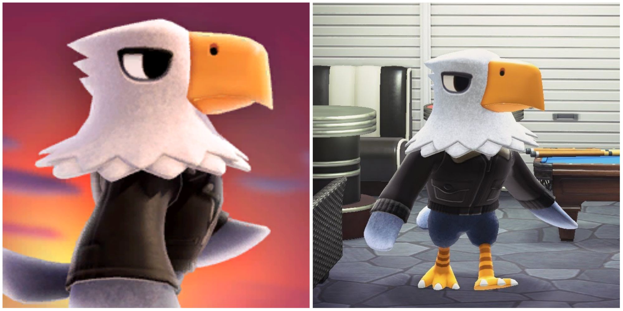 Split image screenshots of Apollo from Animal Crossing.