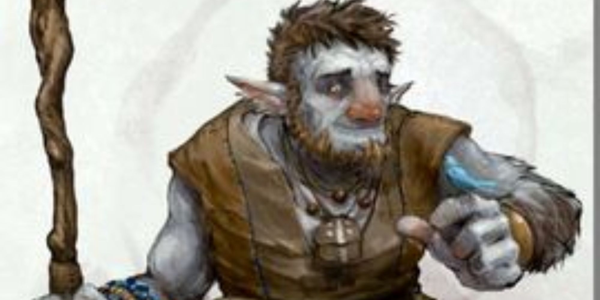 DD 5e Firbolg With Bird and Staff
