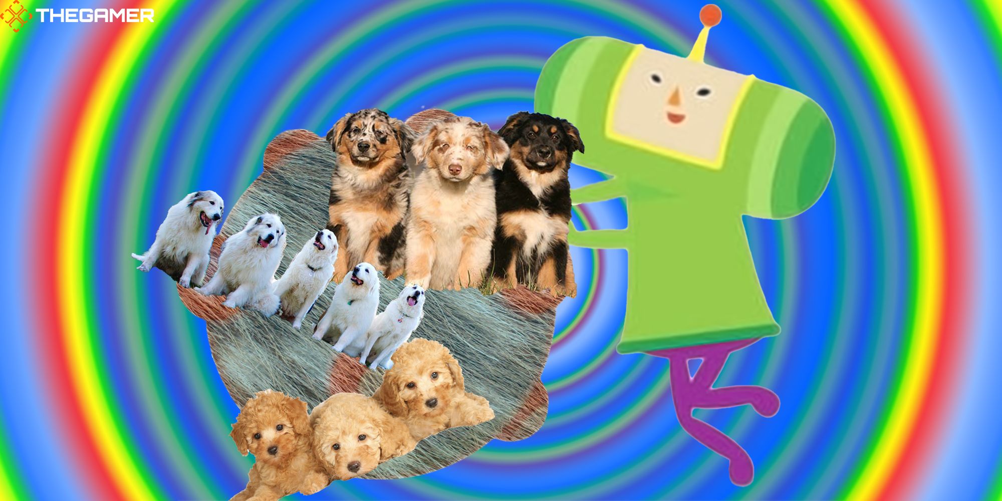 The Prince rolls a furry katamari of puppies against a rainbow background. Custom image for TG.