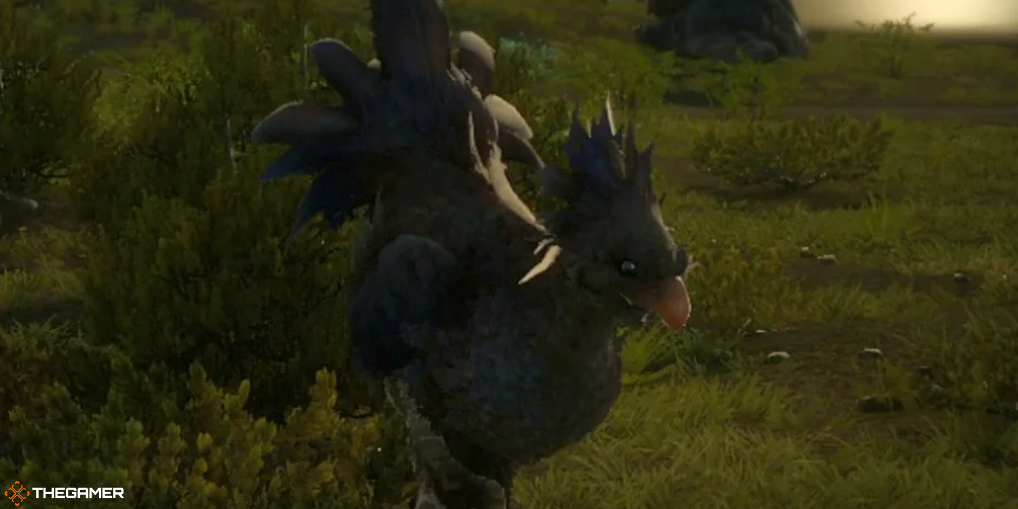 Final Fantasy XV - The Black Chocobo