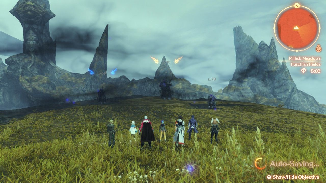 Fuschian Fields View