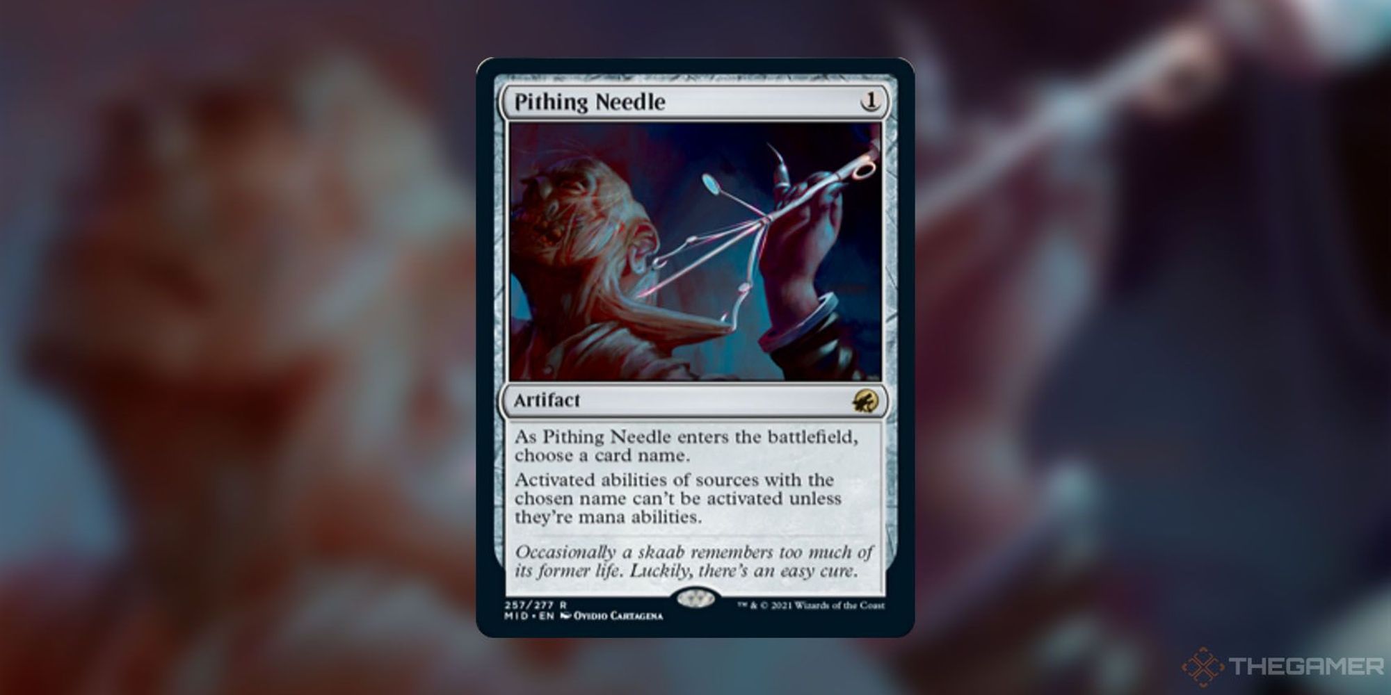 Pithing Needle