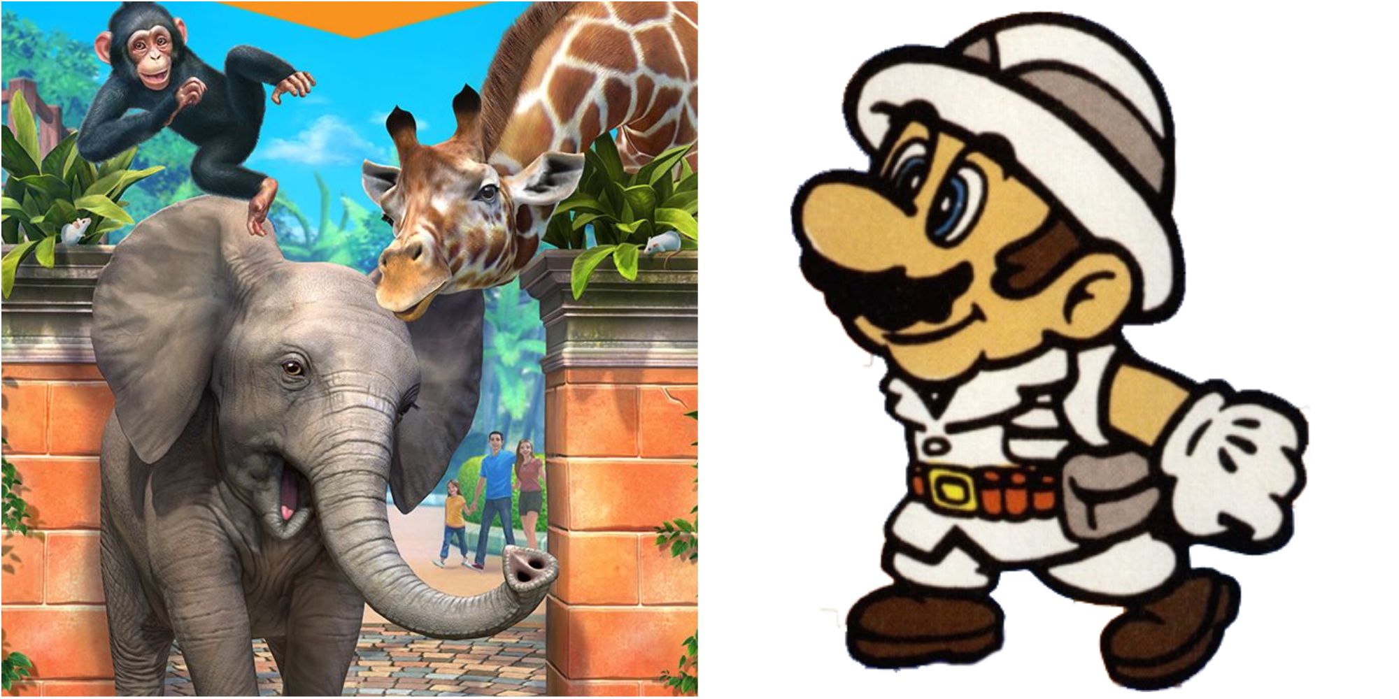 zoo tycoon and picross mario