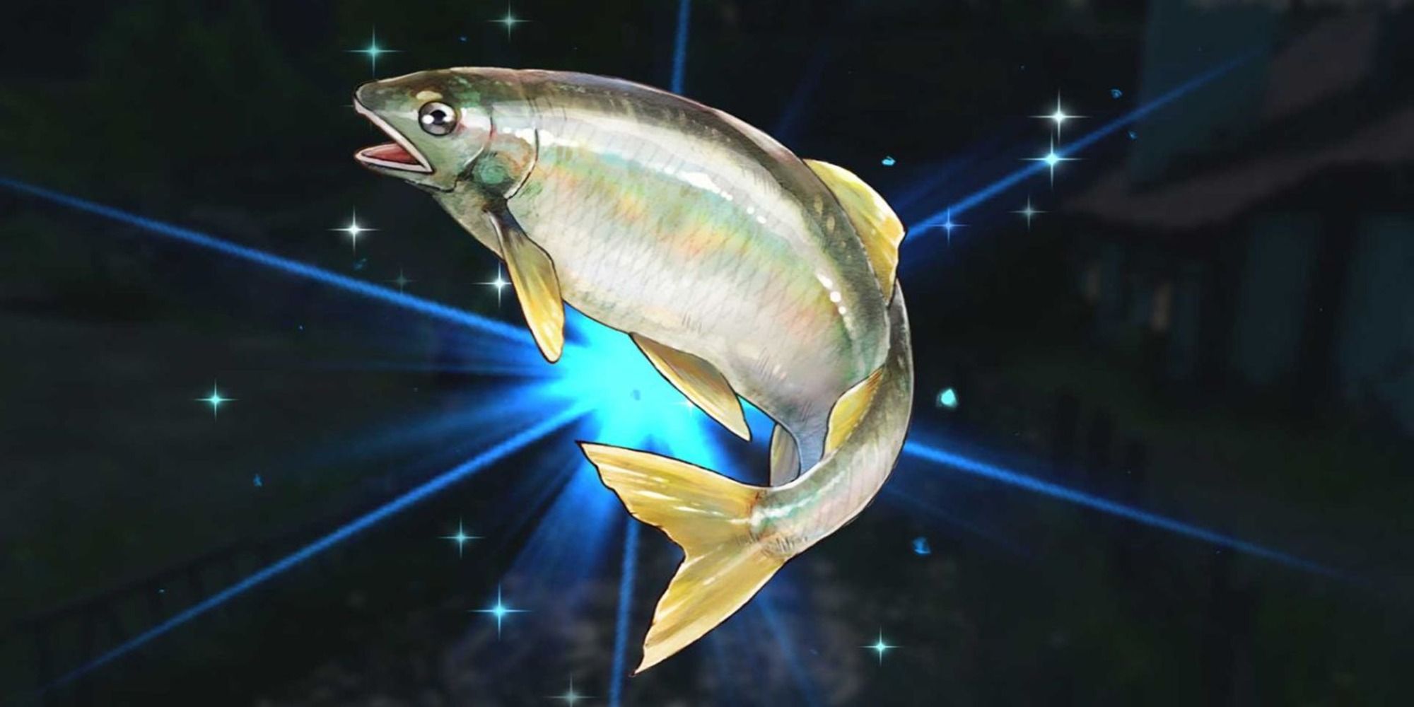 Harvestella fish being caught